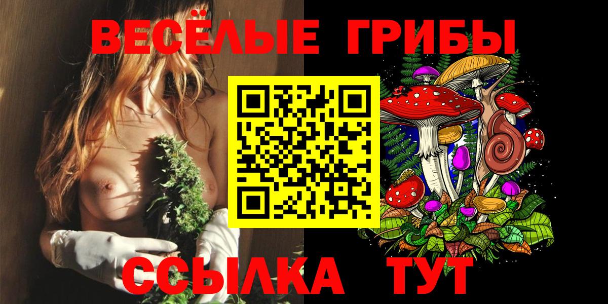 Псилоцибиновые грибы Magic Shrooms Мончегорск