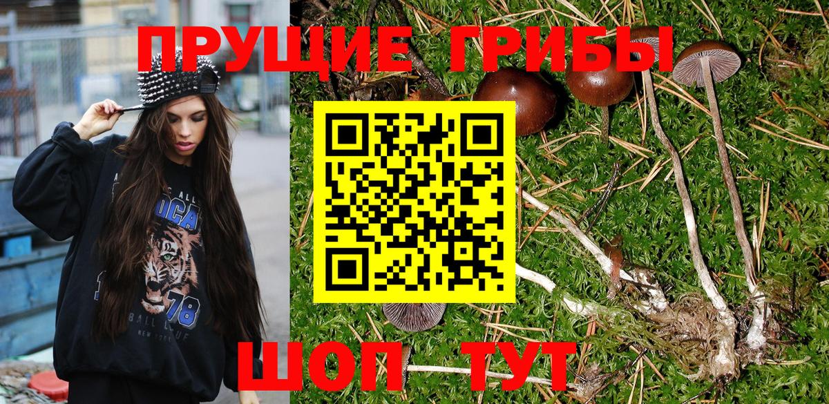 Галлюциногенные грибы Psilocybe  Псилоцибиновые грибы Cubensis  Вход с VPN  Мончегорск 